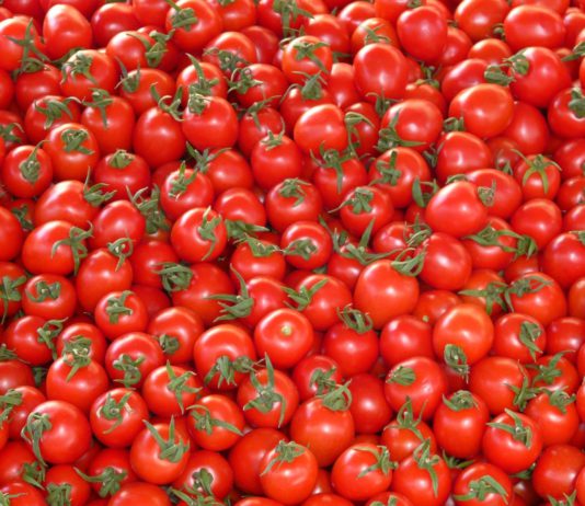 Deutschlandcard und Payback in Berlin