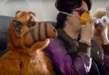 Sunday Funday: Mehr Safety Videos zum Schmunzeln