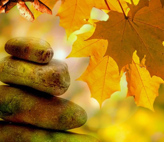 Flugmeilen einfach sammeln: Der November Countdown läuft