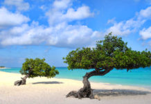 FlyingBlue Promo Awards: Für 12.500 Meilen in die Karibik Eagle Beach Aruba