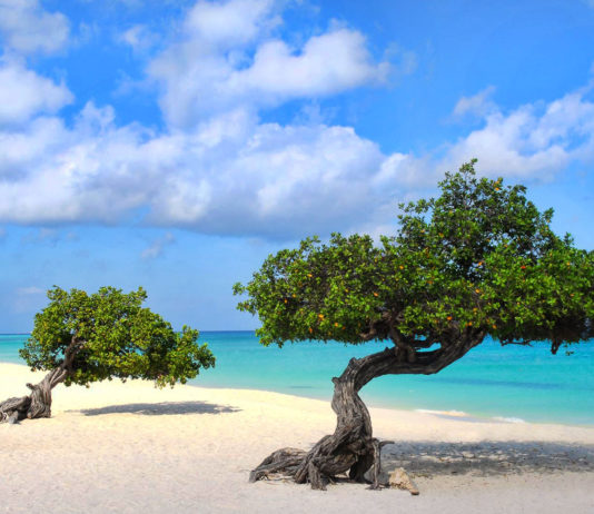 FlyingBlue Promo Awards: Für 12.500 Meilen in die Karibik Eagle Beach Aruba