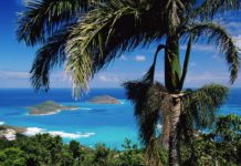 Mit TAP günstig Business-Class nach Amerika, Afrika und Brasilien