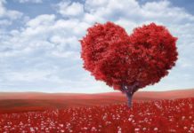 Die AirDates Dating App ganz ohne Internet