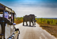 Die Essenz Afrikas – Mit Eurowings günstig nach Namibia