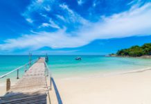 Black Friday hagebau – mit PAYBACK richtig viele Punkte sammeln Black Friday hagebau