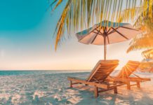 Asien und Afrika: Business Class für 820€ Sex im Urlaub zum Beispiel auf den Malediven