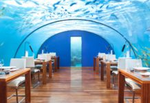 Status Match Challenge: Turbo zu Hilton Gold und Diamond