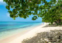 Jetzt für weniger als 350€ in die Karibik