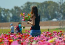 Die Payback Tipps der Woche