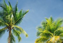 1.000 PAYBACK Punkte kostenlos mit American Express 4000 PAYBACK Punkte kostenlos mit American Express