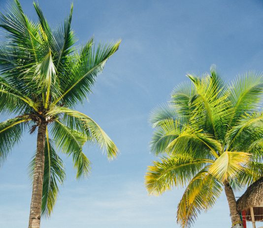 1.000 PAYBACK Punkte kostenlos mit American Express 4000 PAYBACK Punkte kostenlos mit American Express