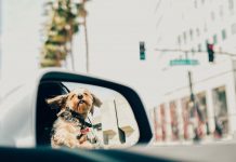 5000 Meilen für eine Mietwagenbuchung 5000 Meilen für eine Mietwagenbuchung. Photo by Ana do Amaral on Unsplash