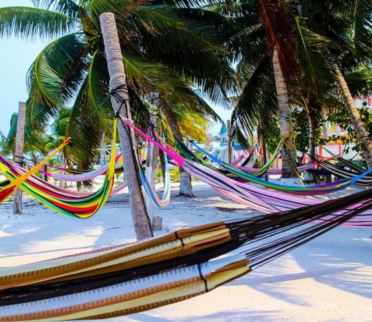 Selten 2.0 – Business Class nach Aruba und Buenos Aires! Business Class nach Aruba