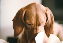 So kannst du Meilen auf Bücher sammeln Ab jetzt Meilen auf Bücher sammeln. Photo by 2Photo Pots on Unsplash