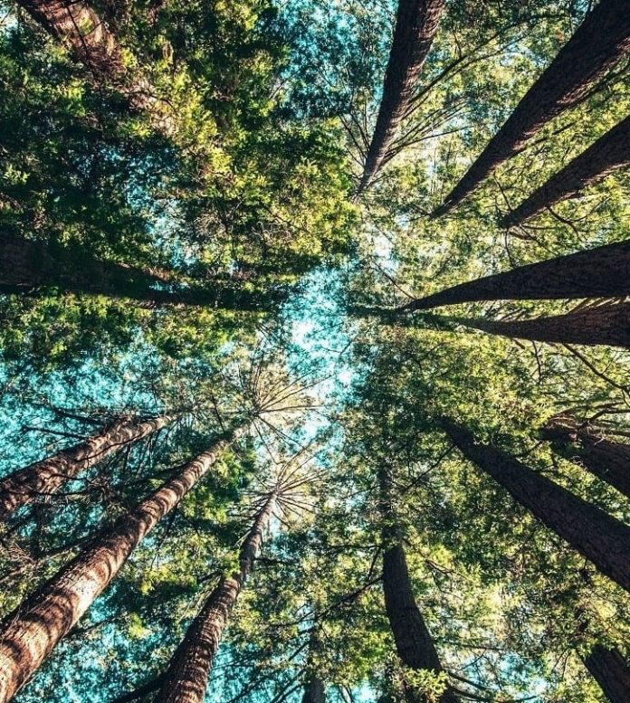200 Prozent für den Klimaschutz