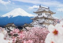 KLM Black Friday Eco Deals: Z.B. Tokio / Las Vegas ab 390€ KLM Black Friday