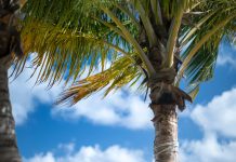 Nur noch bis morgen: Mit Accor All bis zu 6.000 Punkte