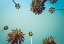 Reise Gewinnspiel Gewinner