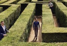 4 Mal belohnt werden für den Hemden Einkauf Hemden kaufen: Miles and More Meilen bei hemden.de