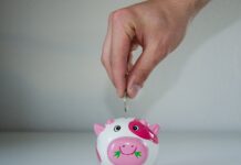 Neues aus der Cashback-Welt